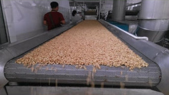Salted peanut processing production line