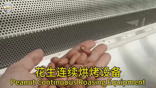 Multi-functional continuous baking oven